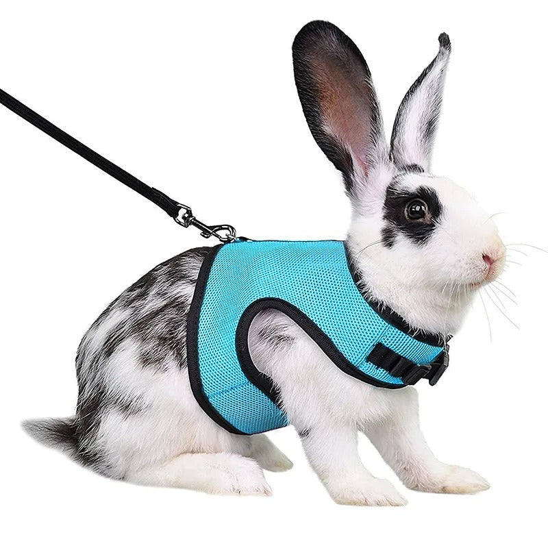 Harnais Sécurité Lapin-Animalia Boutique