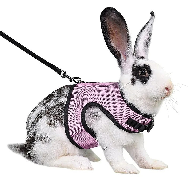 Harnais Sécurité Lapin-Animalia Boutique