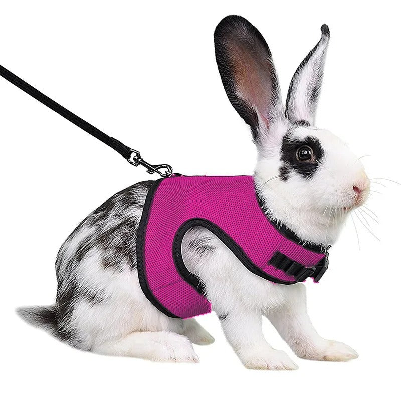 Harnais Sécurité Lapin-Animalia Boutique
