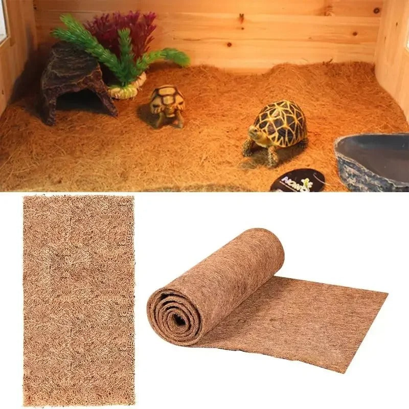 Plancher Absorbant Terrarium-Animalia Boutique