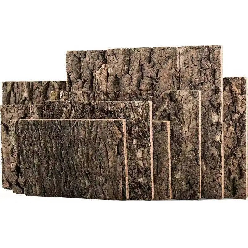 Fond Décoratif Terrarium-Animalia Boutique