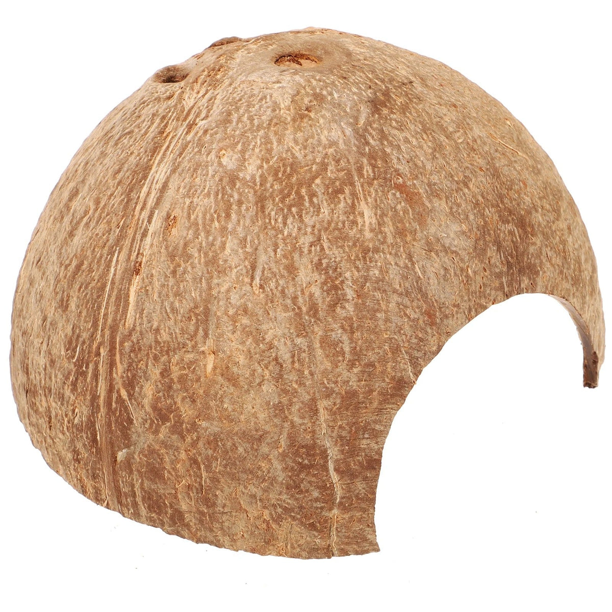 Cachette Reptile Naturelle-Animalia Boutique