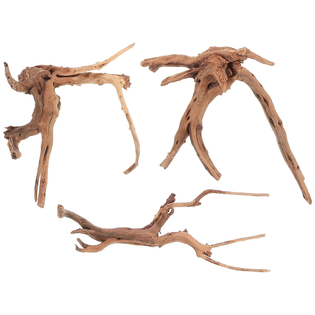 Racines Naturelles Terrarium-Animalia Boutique