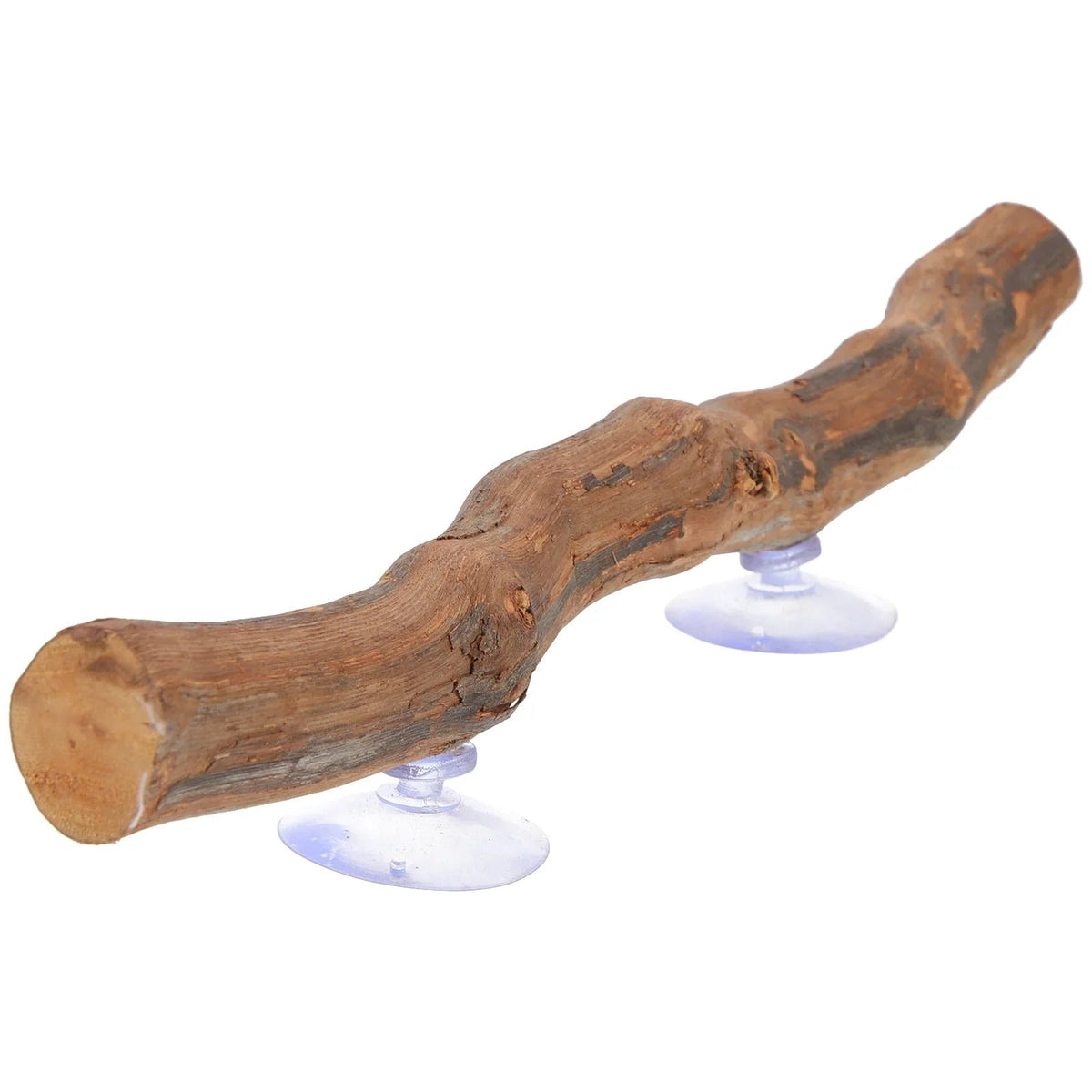 Décor Bois Exotique Reptile-Animalia Boutique