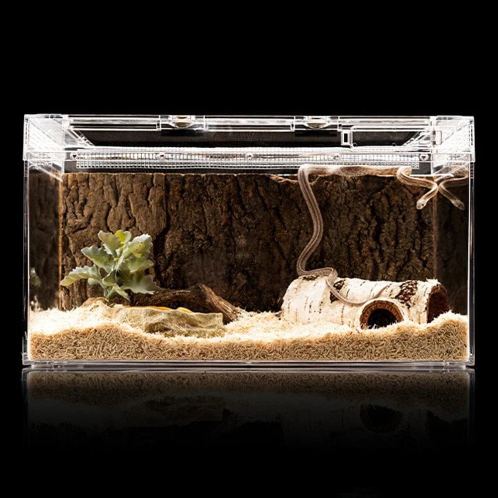 Caverne Reptile Humidité-Animalia Boutique