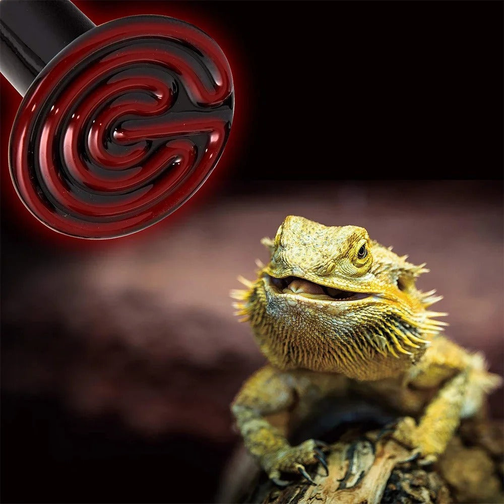 Lampe Infrarouge Serpent-Animalia Boutique