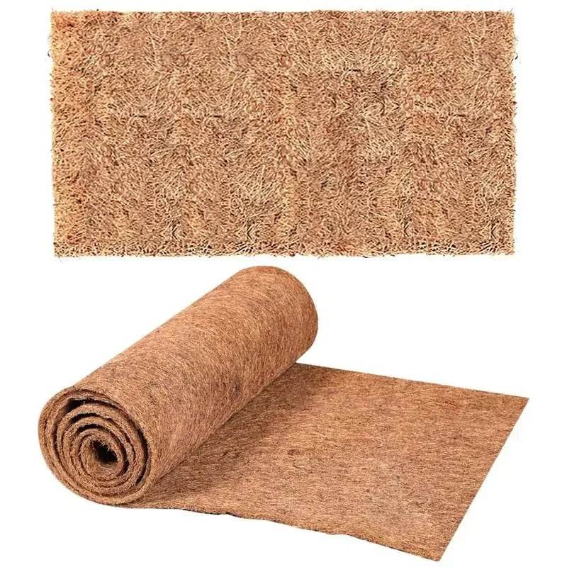 Plancher Absorbant Terrarium-Animalia Boutique