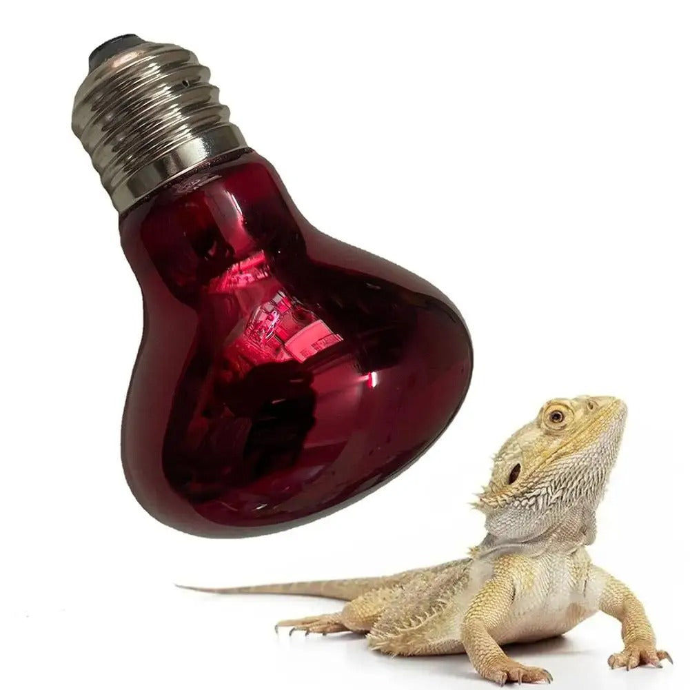 Spot Chauffant Terrarium-Animalia Boutique