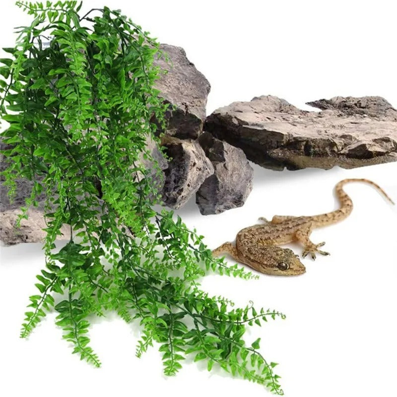 Fougère Suspendue Reptile-Animalia Boutique
