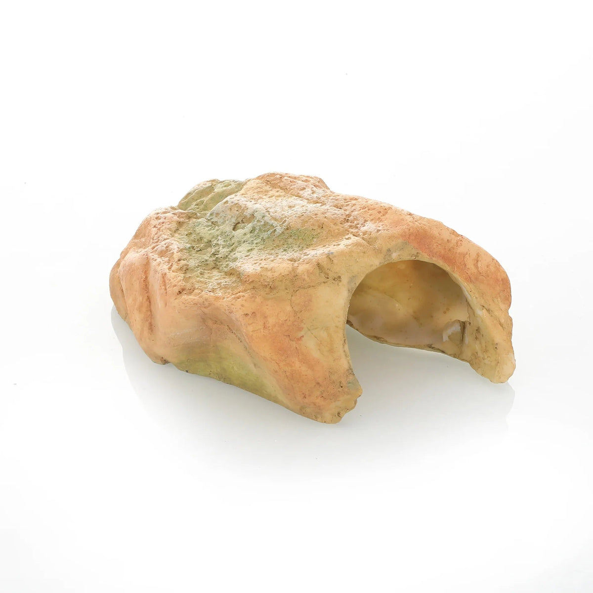 Maison Cachette Tortue-Animalia Boutique