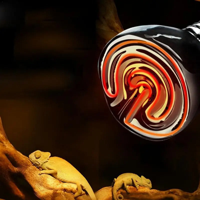 Chauffage Céramique Reptiles-Animalia Boutique