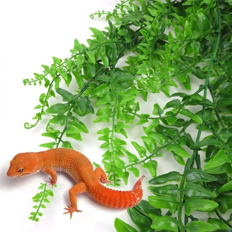 Fougère Suspendue Reptile-Animalia Boutique