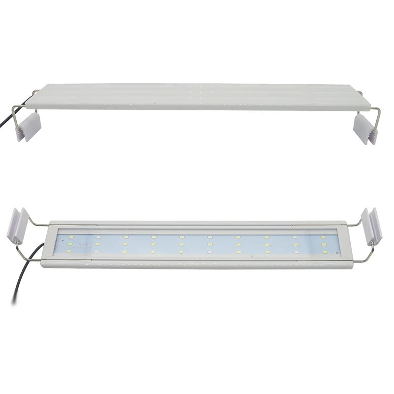 Éclairage LED Terrarium-Animalia Boutique