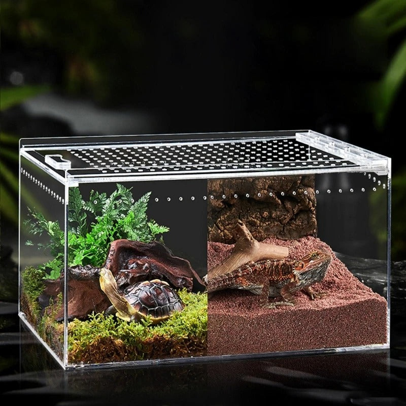 Bac Substrat Terrarium-Animalia Boutique