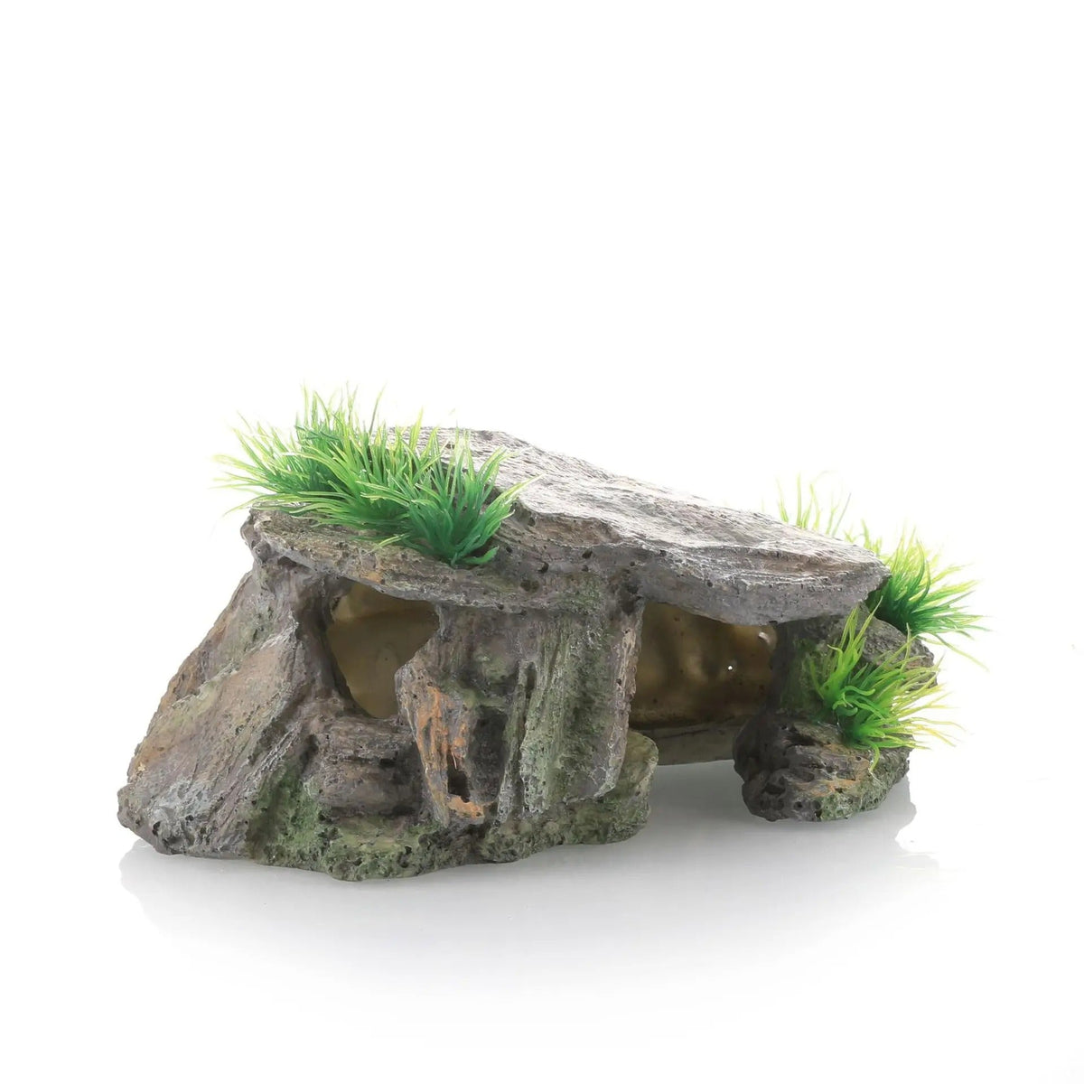 Maison Cachette Tortue-Animalia Boutique