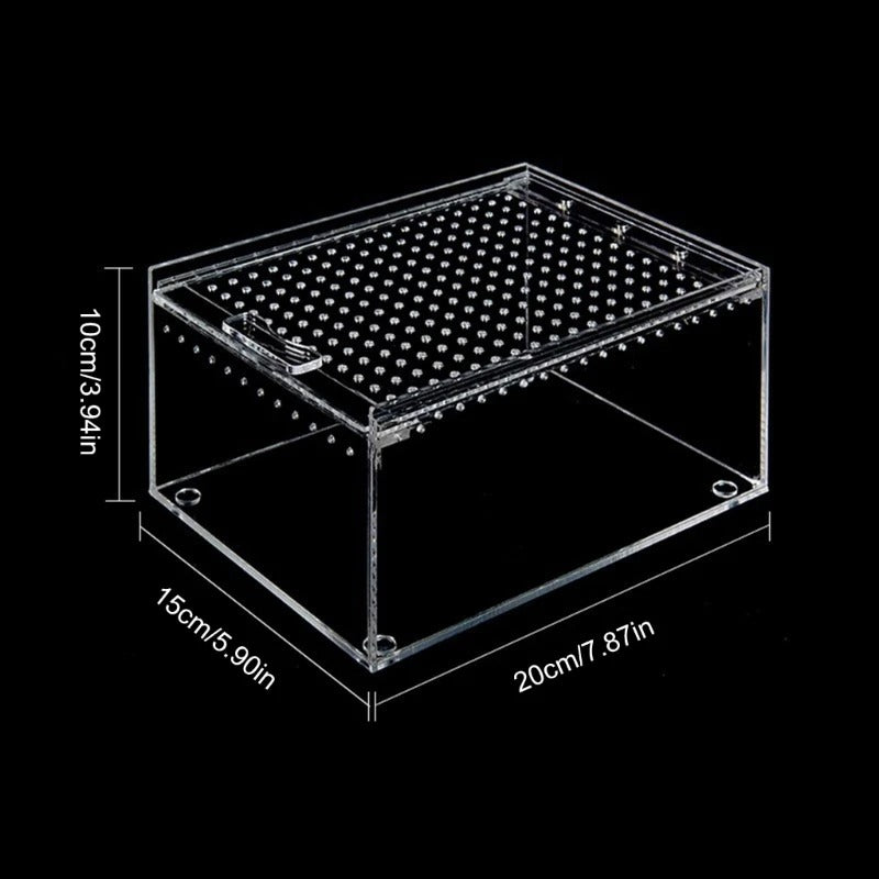 Bac Substrat Terrarium-Animalia Boutique