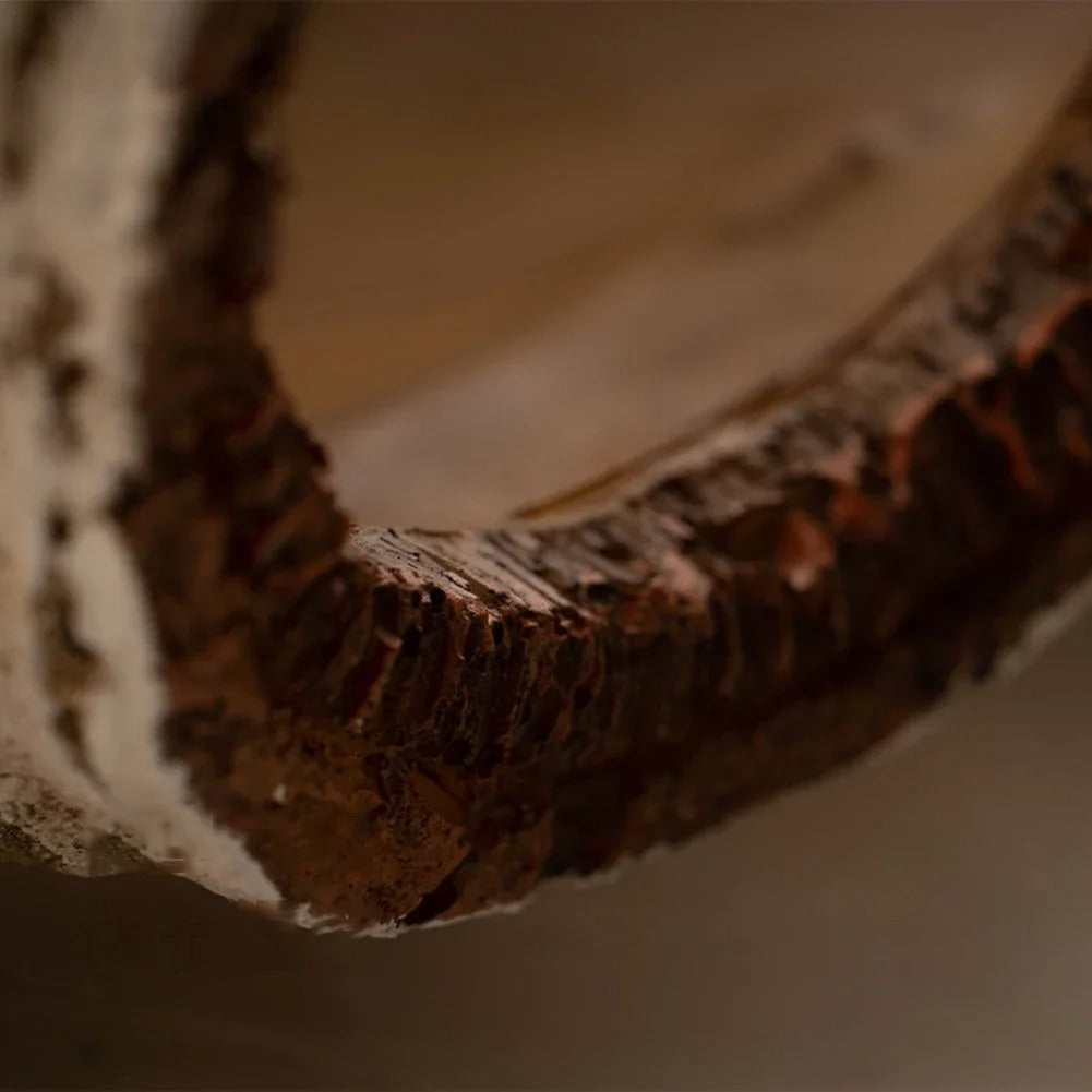 Caverne Reptile Humidité-Animalia Boutique