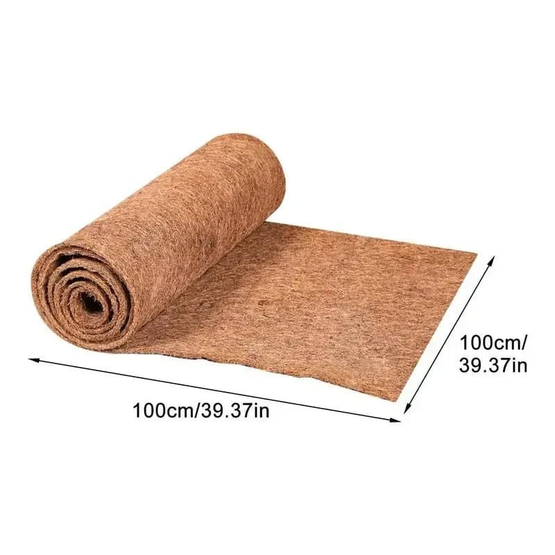 Plancher Absorbant Terrarium-Animalia Boutique