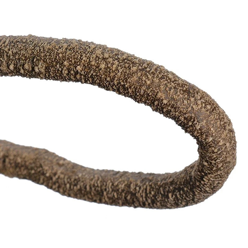 Lianes Flexibles Reptiles-Animalia Boutique