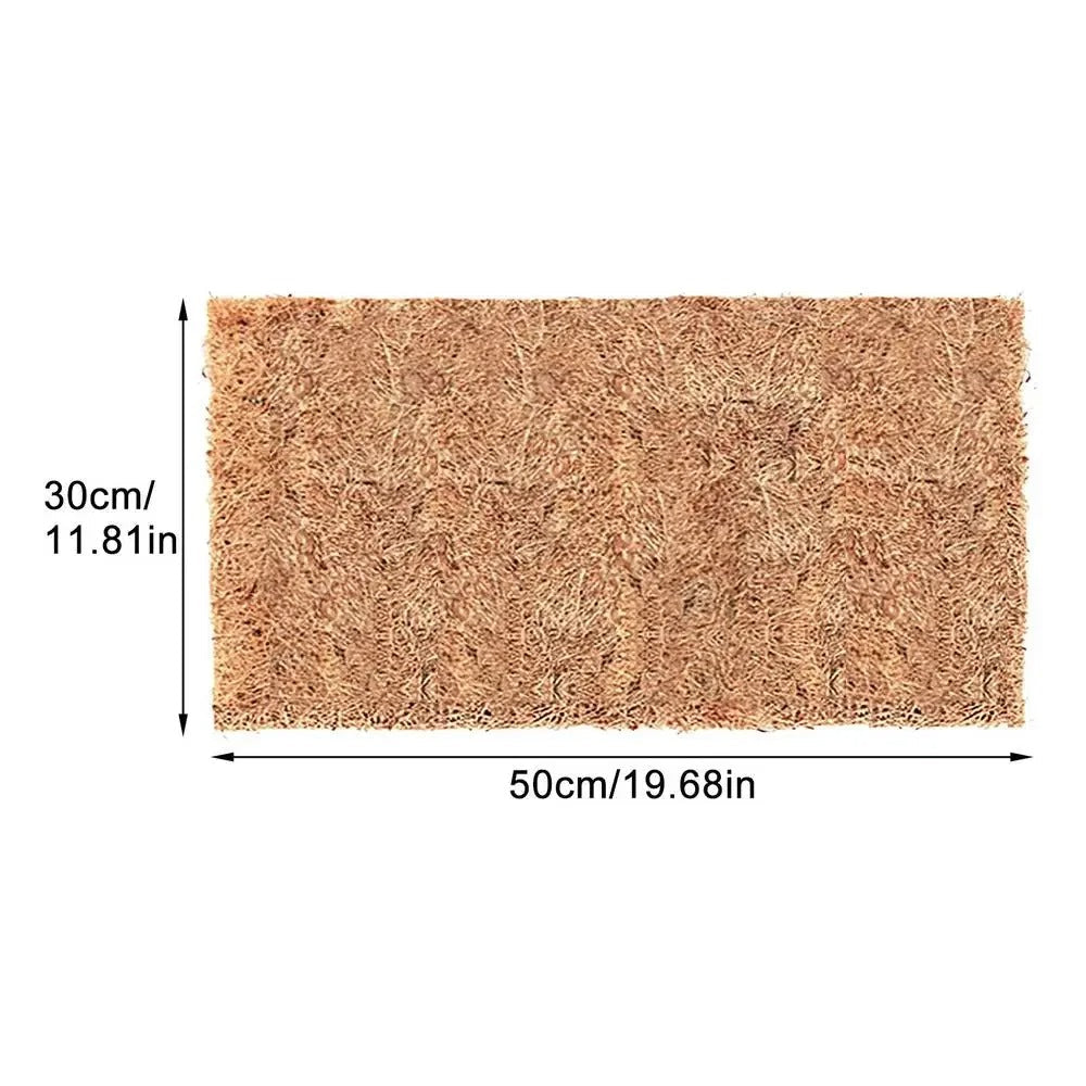 Plancher Absorbant Terrarium-Animalia Boutique