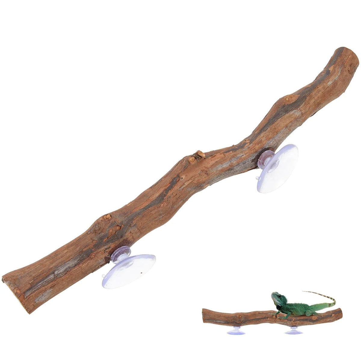 Décor Bois Exotique Reptile-Animalia Boutique
