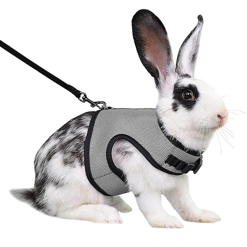 Harnais Sécurité Lapin-Animalia Boutique