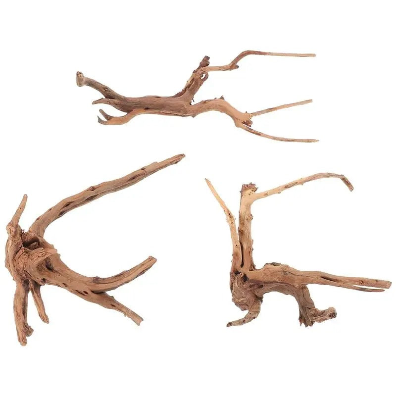 Racines Naturelles Terrarium-Animalia Boutique