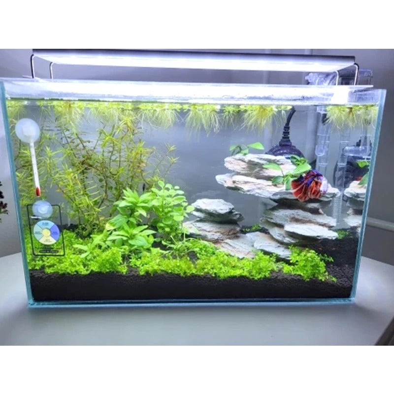 Éclairage LED Terrarium-Animalia Boutique