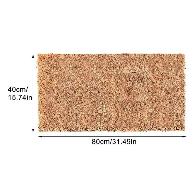 Plancher Absorbant Terrarium-Animalia Boutique