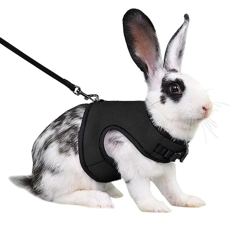 Harnais Sécurité Lapin-Animalia Boutique