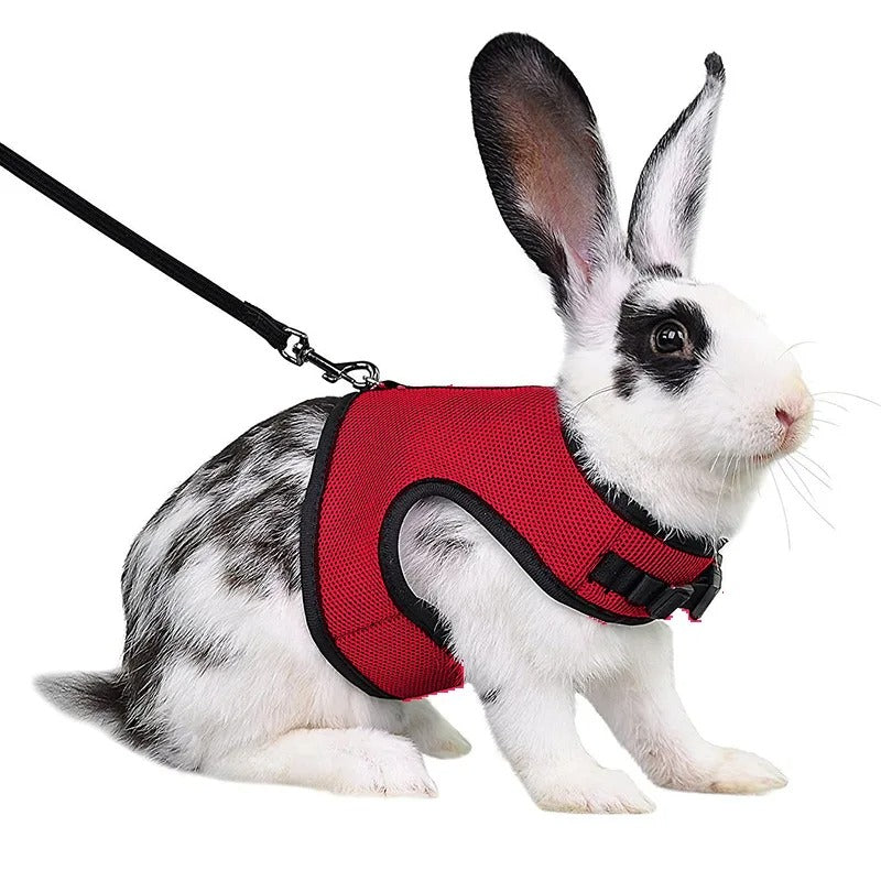 Harnais Sécurité Lapin-Animalia Boutique