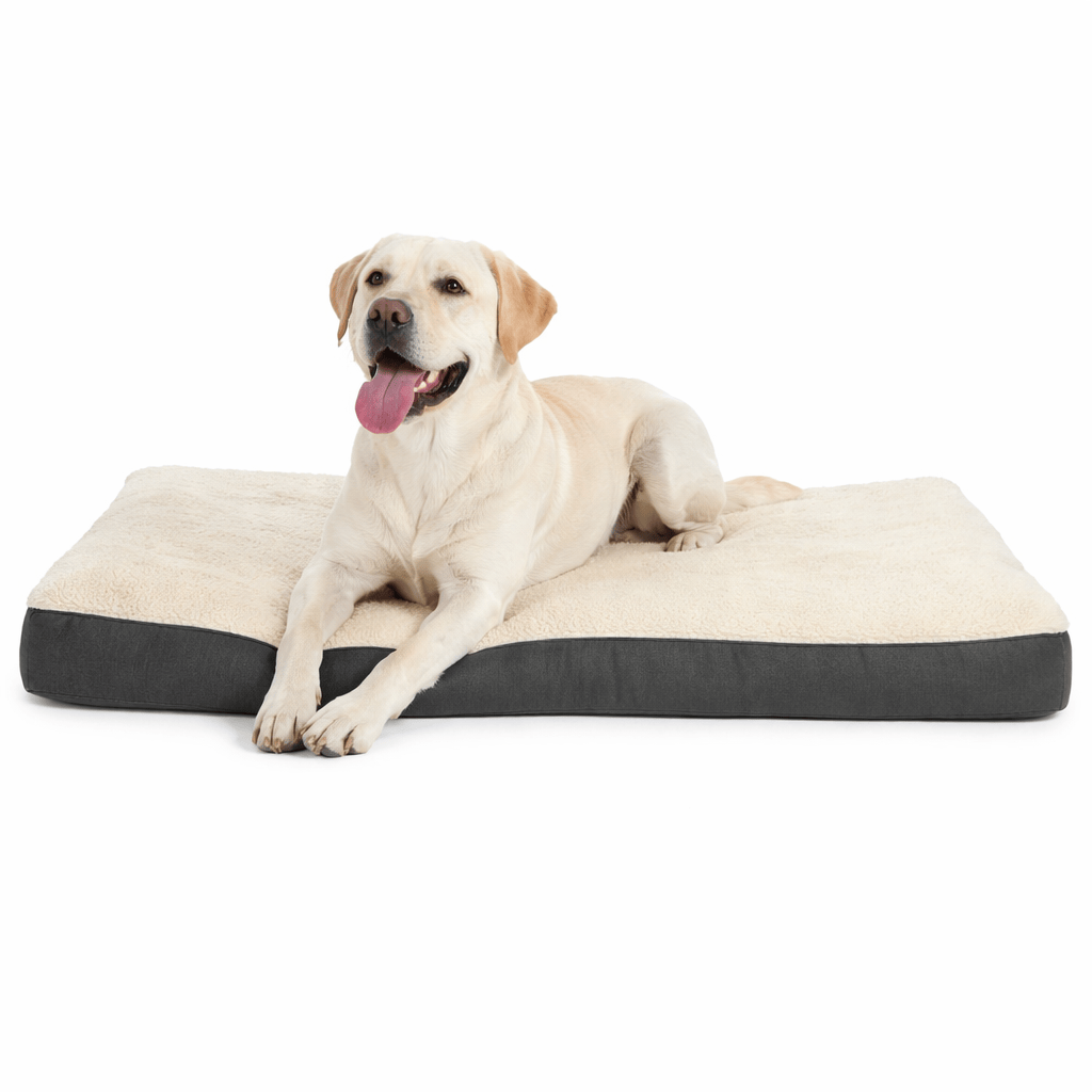 Matelas Mémoire de Forme Chien