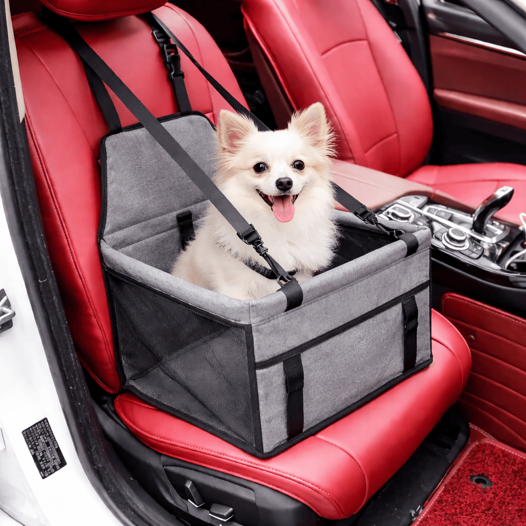 Siège Auto pour Chien