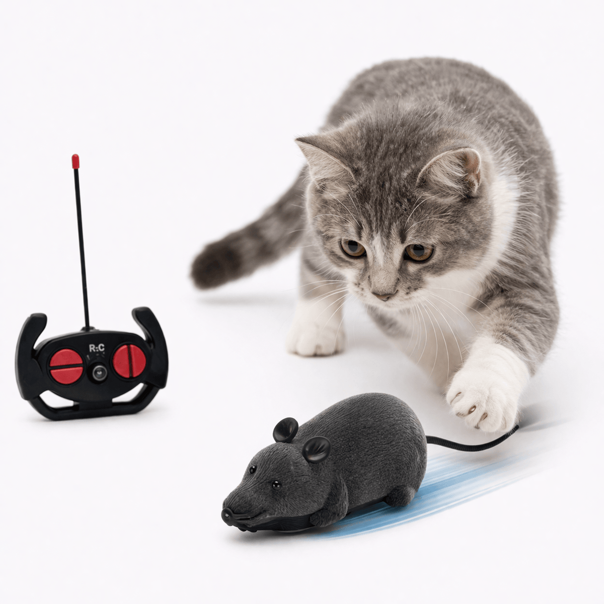 Souris Télécommandée Chat