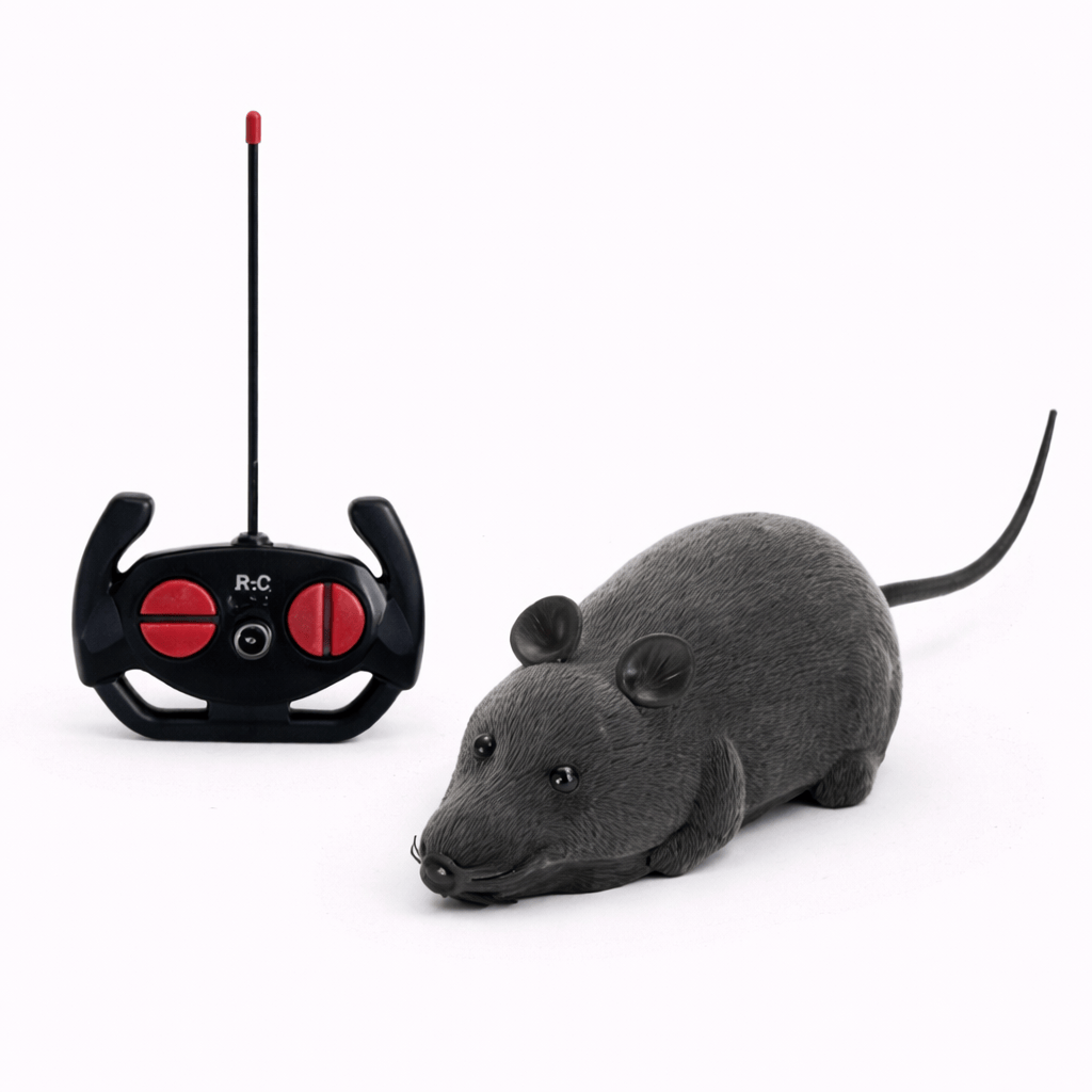 Souris Télécommandée Chat