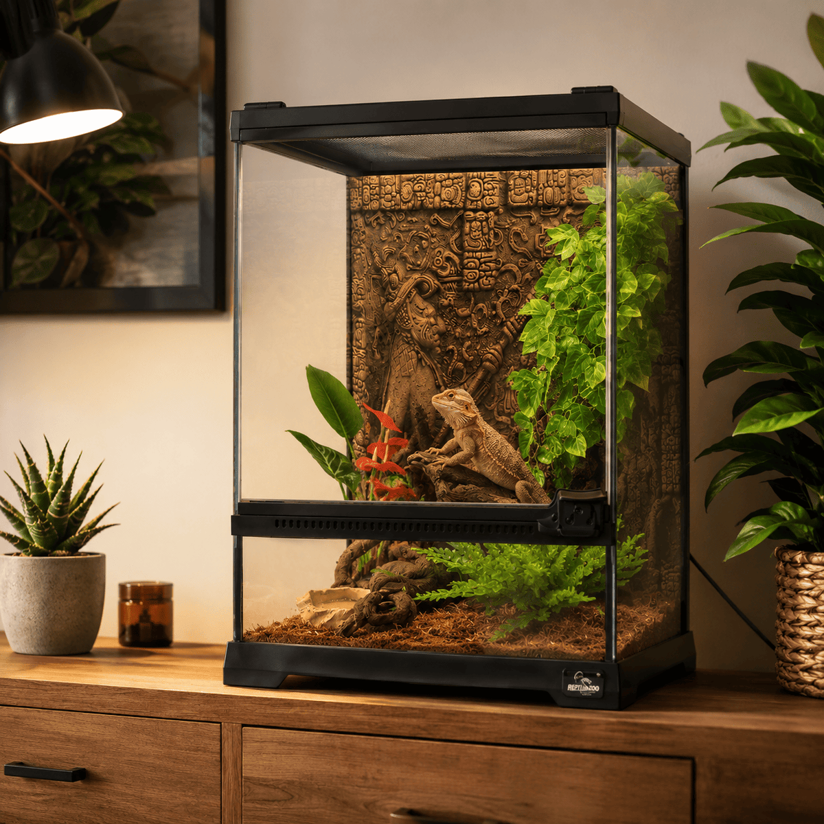 Terrarium Verre Reptiles